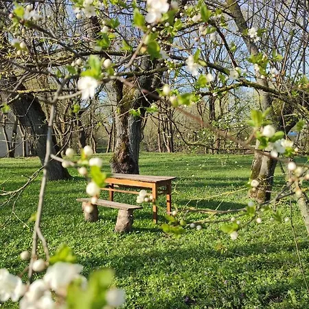 Appartamento Linkuva Manor *